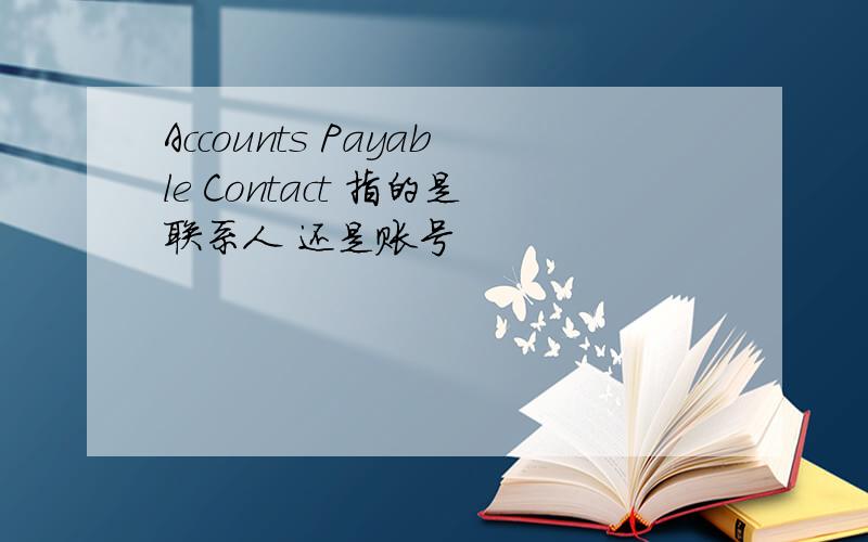 Accounts Payable Contact 指的是联系人 还是账号