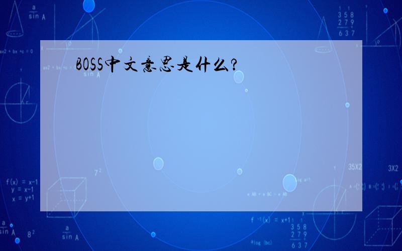 BOSS中文意思是什么?