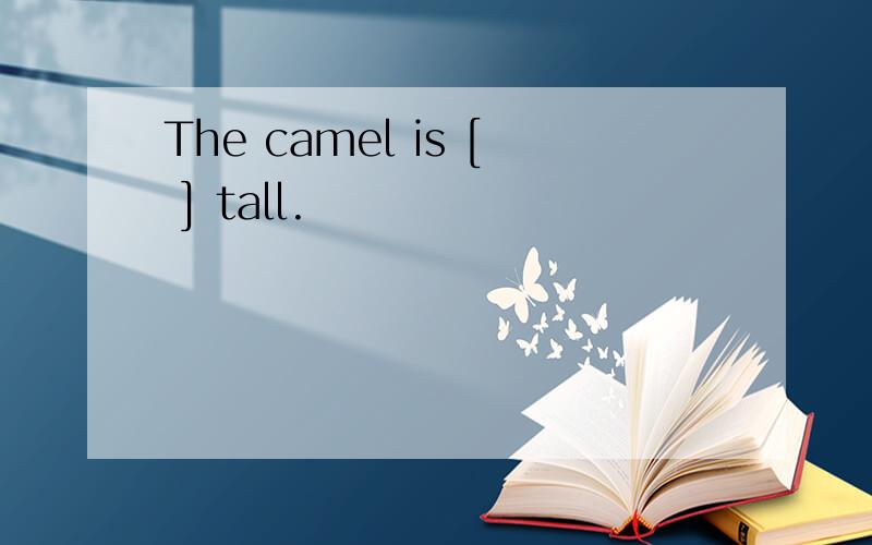 The camel is [ ] tall.