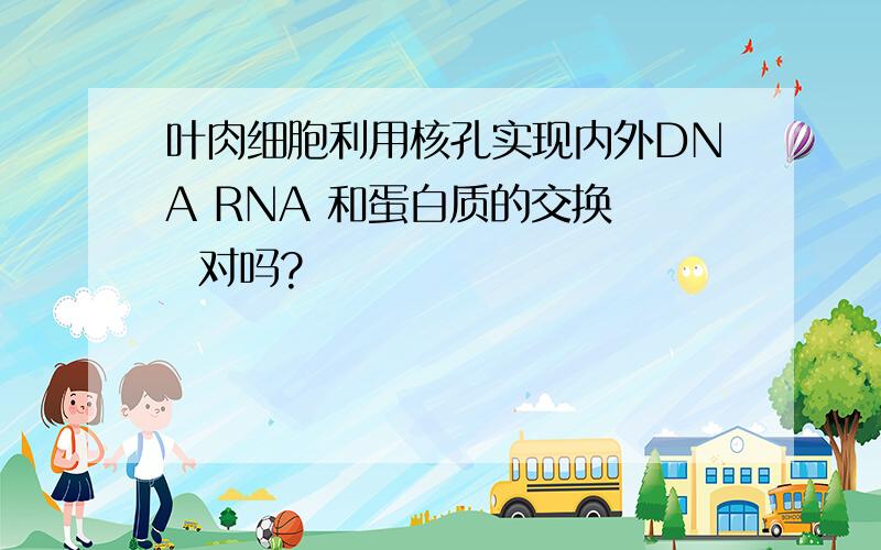 叶肉细胞利用核孔实现内外DNA RNA 和蛋白质的交换   对吗?